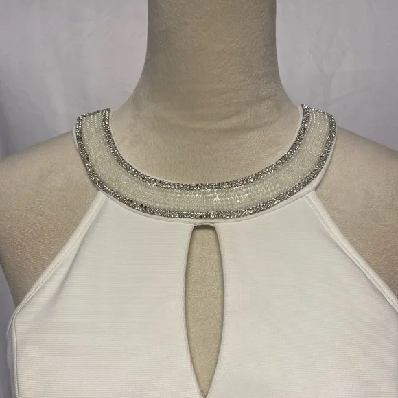 Windsor gorgeous bodycon dress - Picture 4 of 13